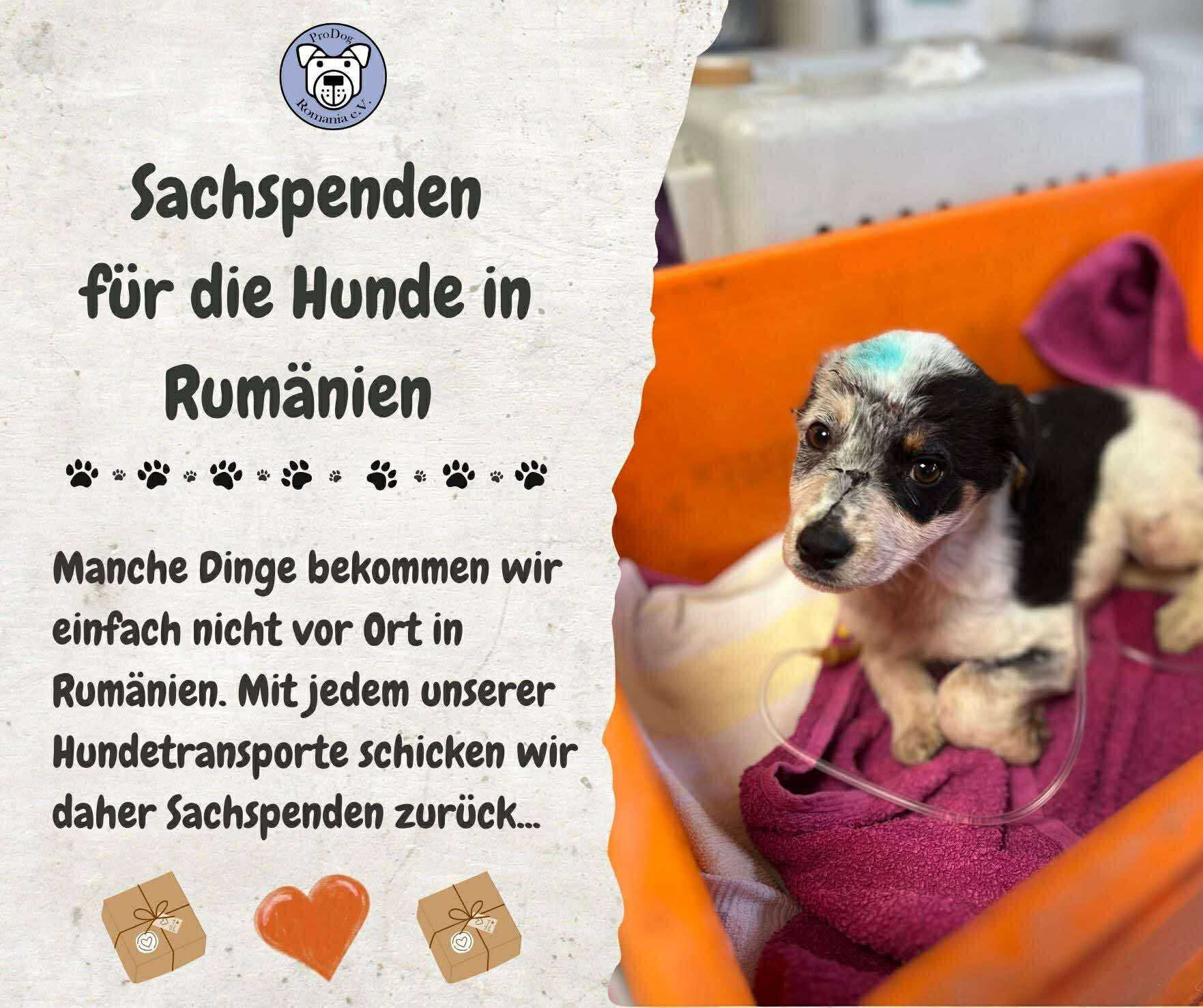 ℹ️ So helft ihr uns mit euren Sachspenden 💚