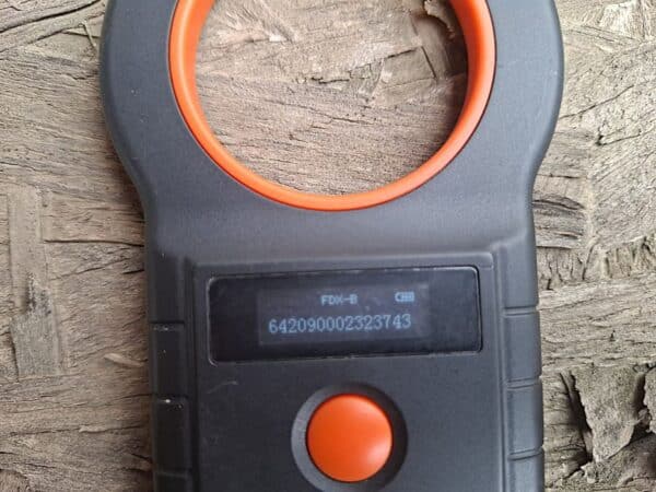 H2BOSK5 (♀) – Bild 9