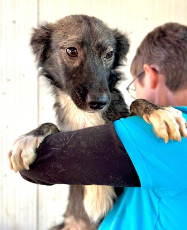 NALIA (♀) – Bild 3