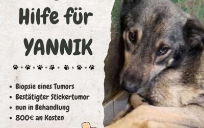 Hilfe für YANNIK 🆘🚑
