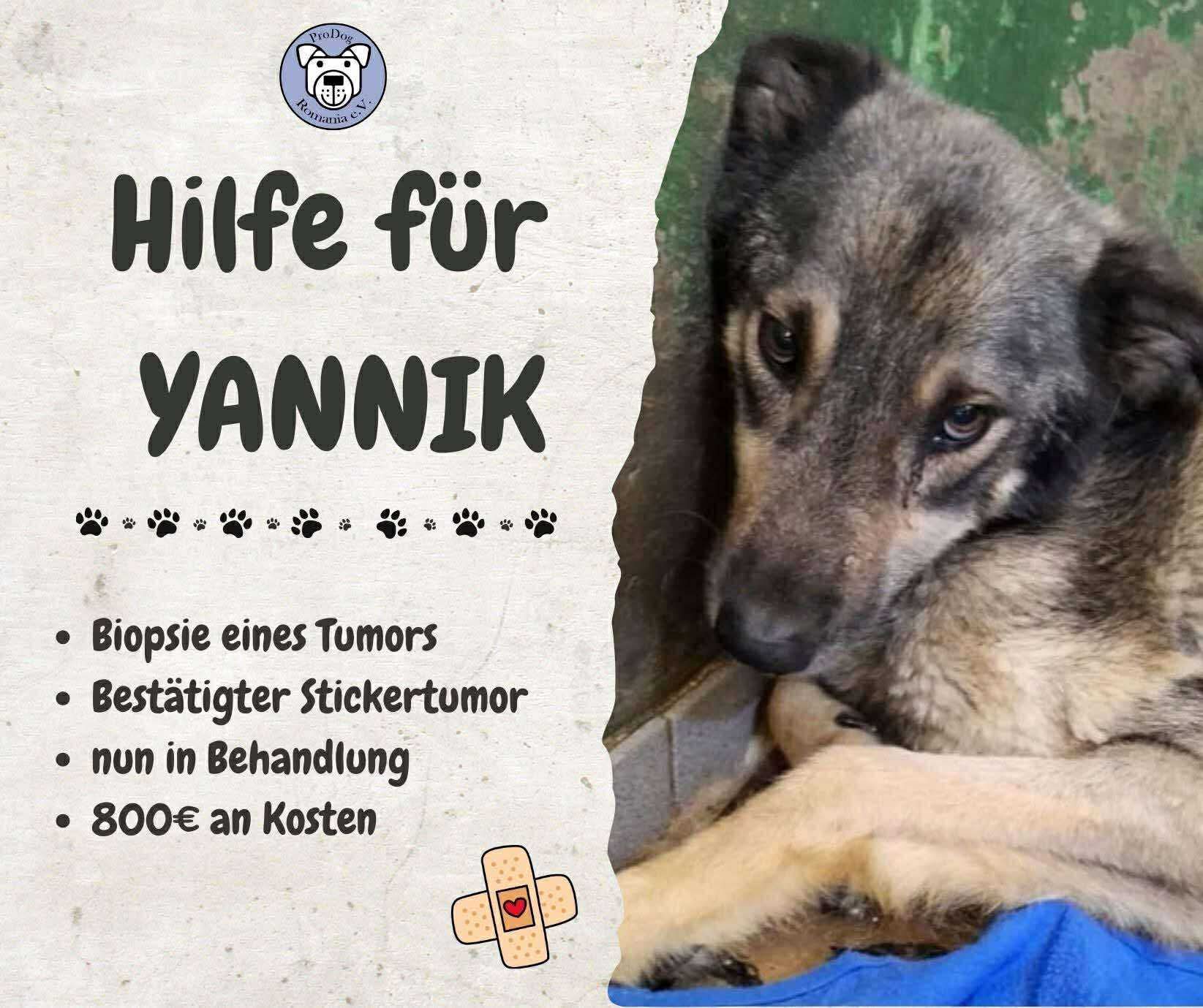 Hilfe für YANNIK 🆘🚑